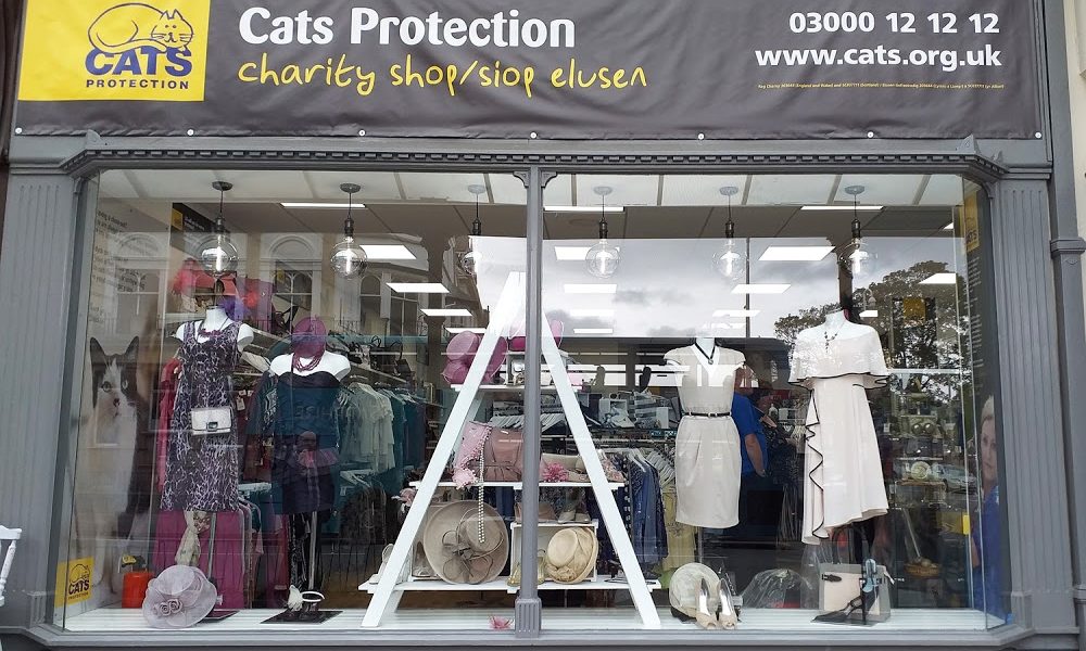 Cats Protection – Llandudno Charity Shop